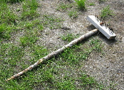 Rake